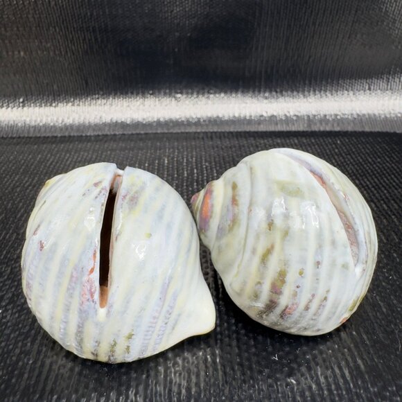 Hand Made Card Holder Stoneware Shell Conch Set 2 Decorative Hand Crafted Figure - Picture 8 of 12